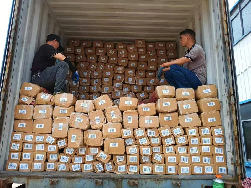 Floor-loaded fencing rolls inside a container, from the RONGJIA Garden catalogue